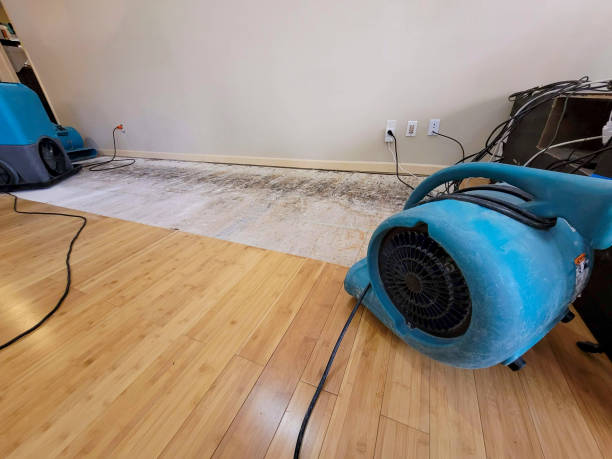 Professional Water Damage Repair technician working in Celina, OH